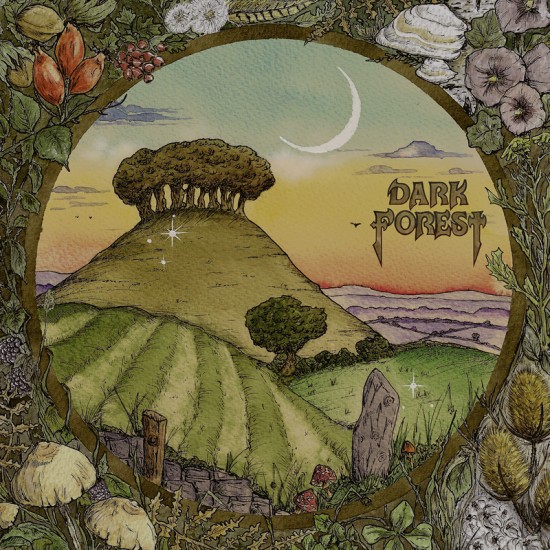 DARK FOREST "Ridge & Furrow" 12'' EP 