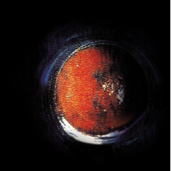 NUCLEAR DEATH "The Planet Cachexial" CD