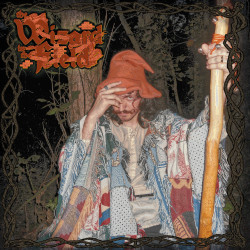 SPIFE "The Wizard in the Fields" LP 